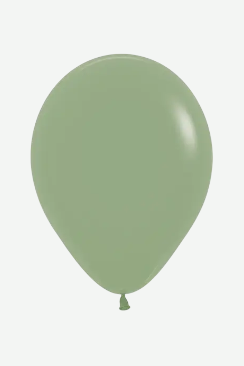 Globos Fashion Eucalipto