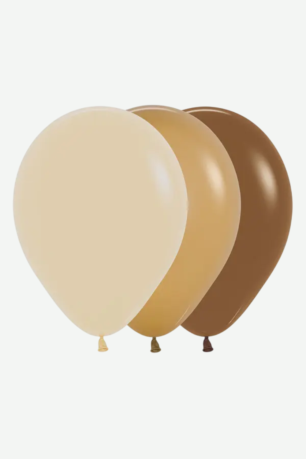 Globos Fashion Surtido Mezcla de Café