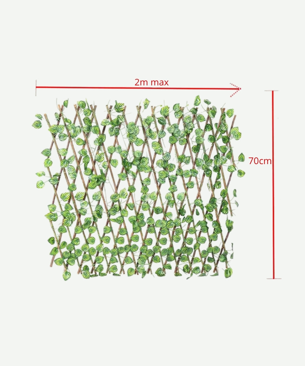 Cerca de Hojas Verdes con Amarillo Artificiales