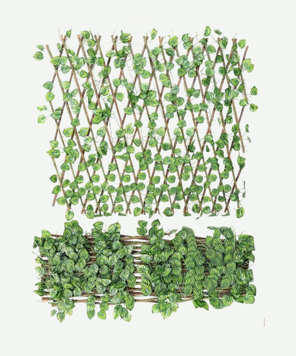 Cerca de Hojas Verdes con Amarillo Artificiales