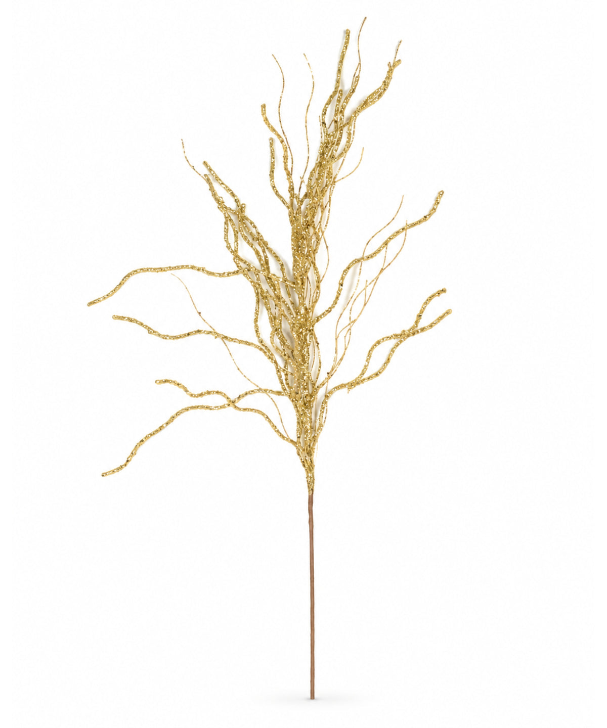 Espiga Chamizo Dorada 85cm