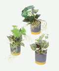Planta Artificial en Matera Gris