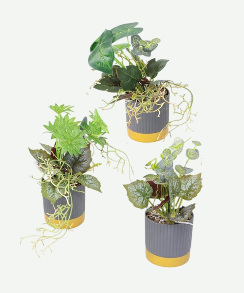 Planta Artificial en Matera Gris