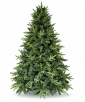 Arbol de Navidad Oriental Espiga 5 Puntas