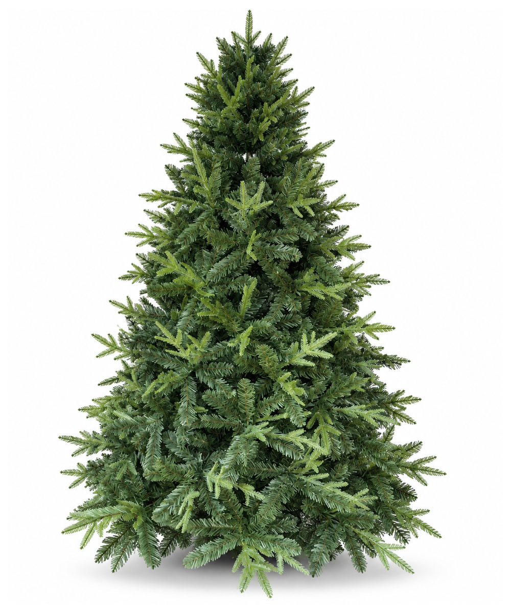 Arbol de Navidad Oriental Espiga 5 Puntas