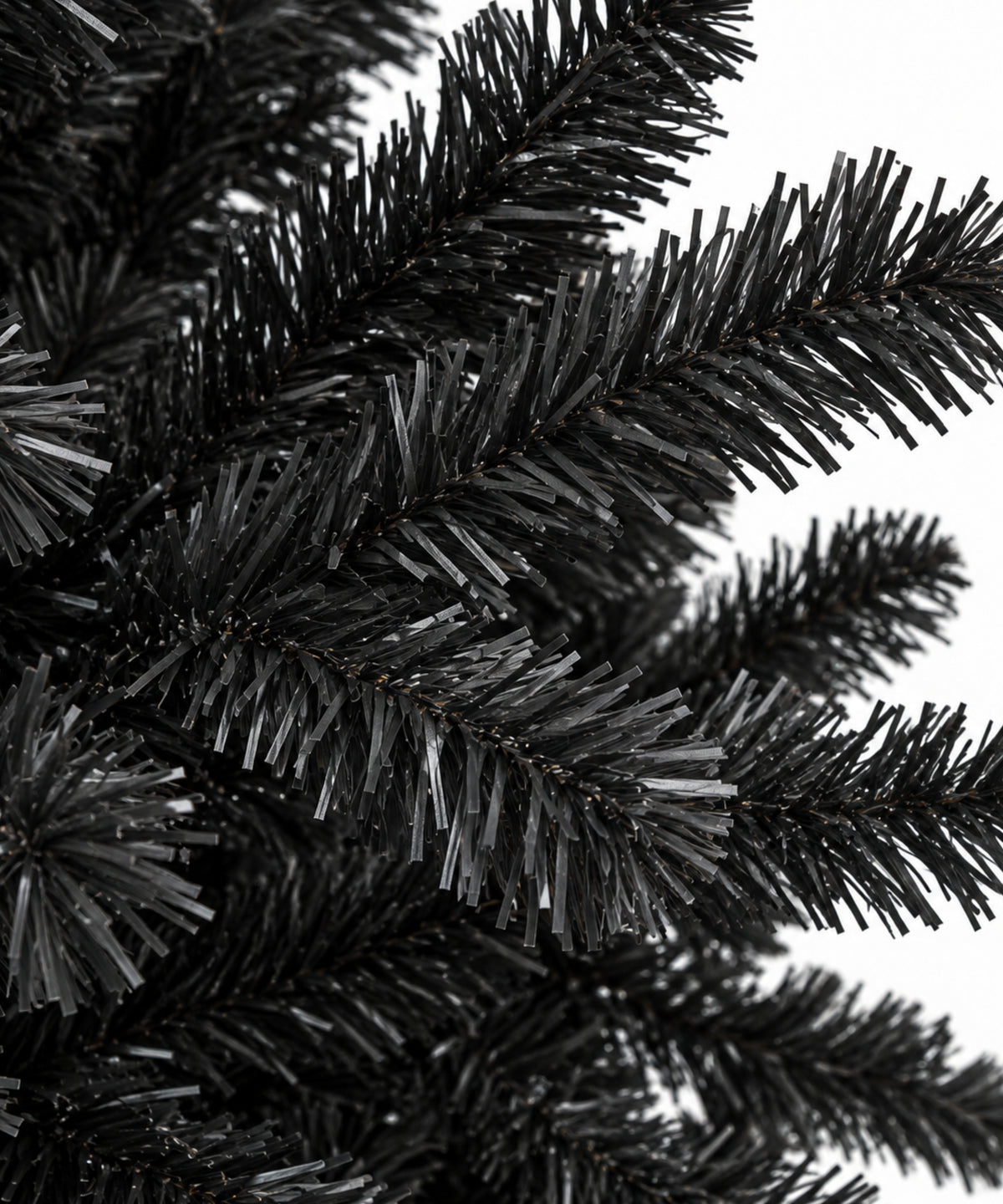 Arbol de Navidad Pino Principe Negro