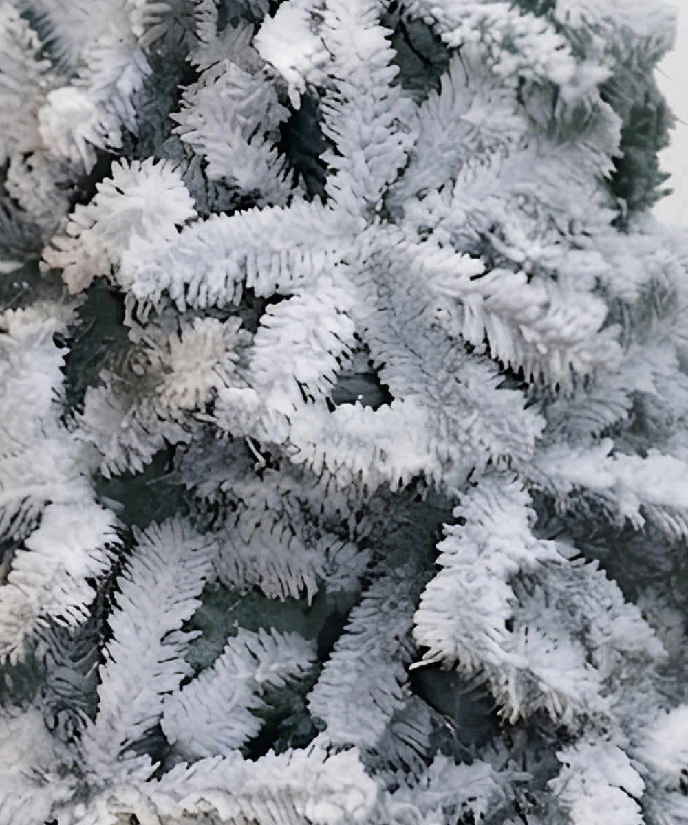 Pino Príncipe Verde BM Flockizado Árbol de Navidad Nevado Artificial Decorativo