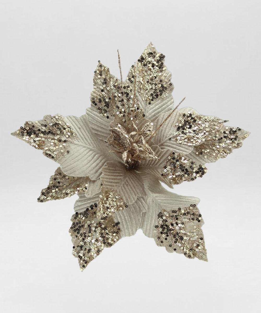 Poinsettia Champaña 50x32 cm