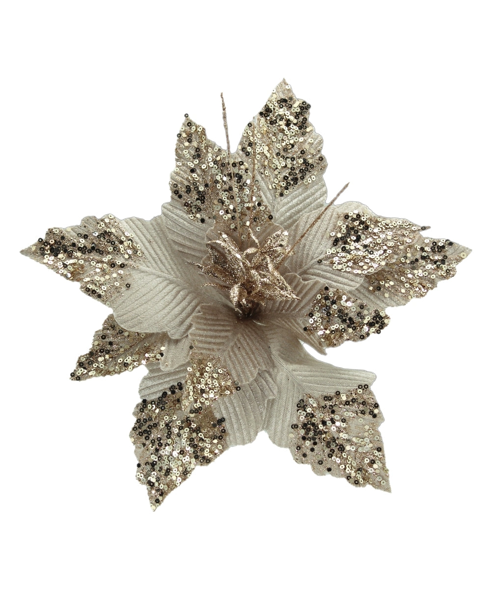 Poinsettia Champaña 50x32 cm
