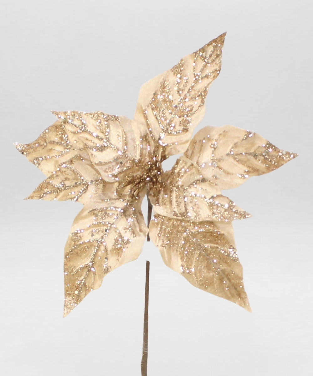 Poinsettia Hoja Punta Escarchada Champaña 38x34 cm