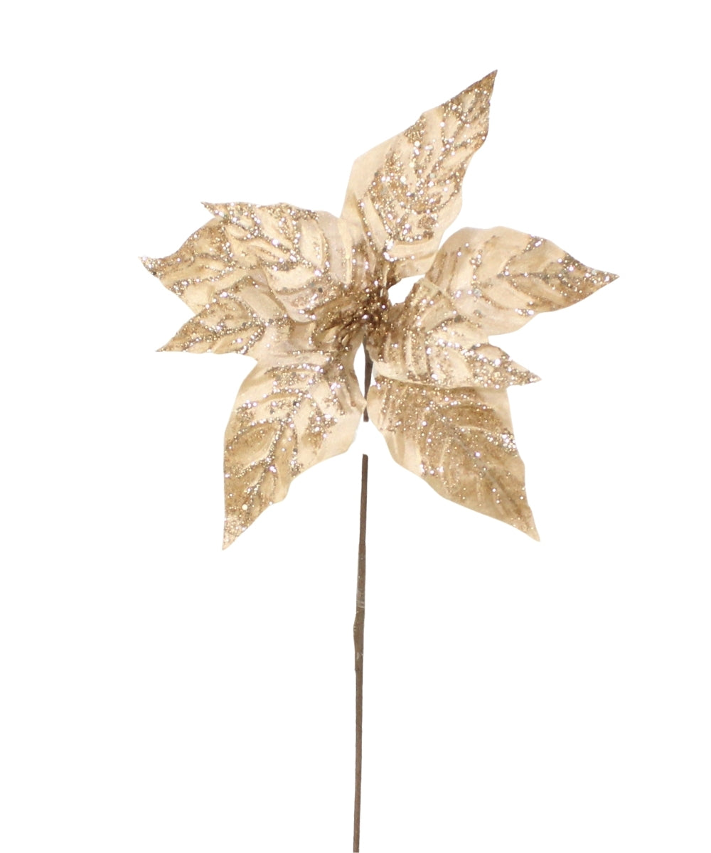 Poinsettia Hoja Punta Escarchada Champaña 38x34 cm