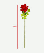 Rosa x1