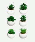 Planta Artificial en Matera Blanca