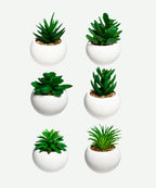 Planta Artificial en Matera Blanca