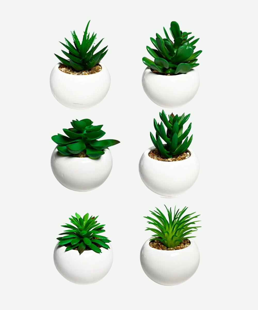 Planta Artificial en Matera Blanca