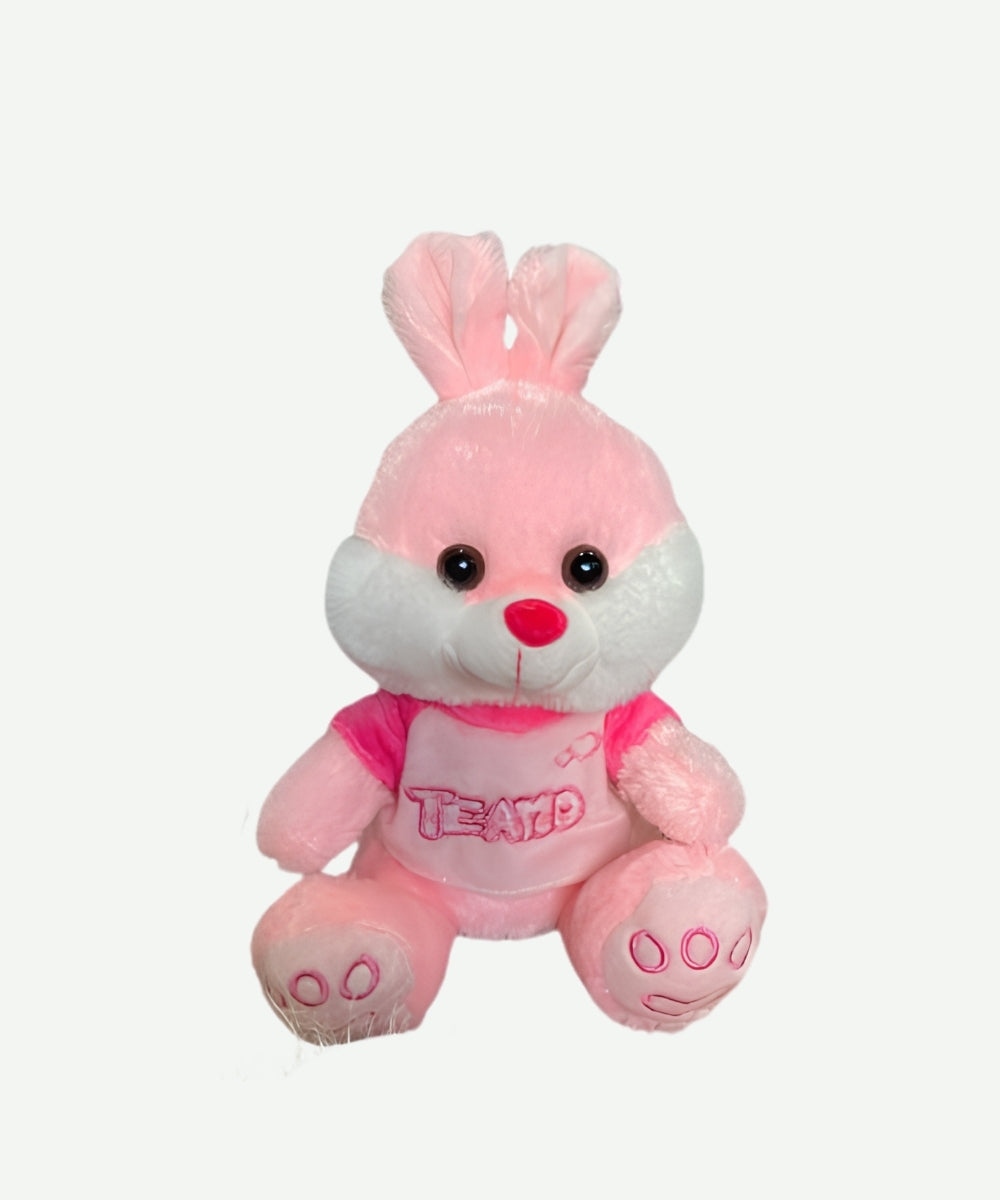 Peluche Conejo Rosado
