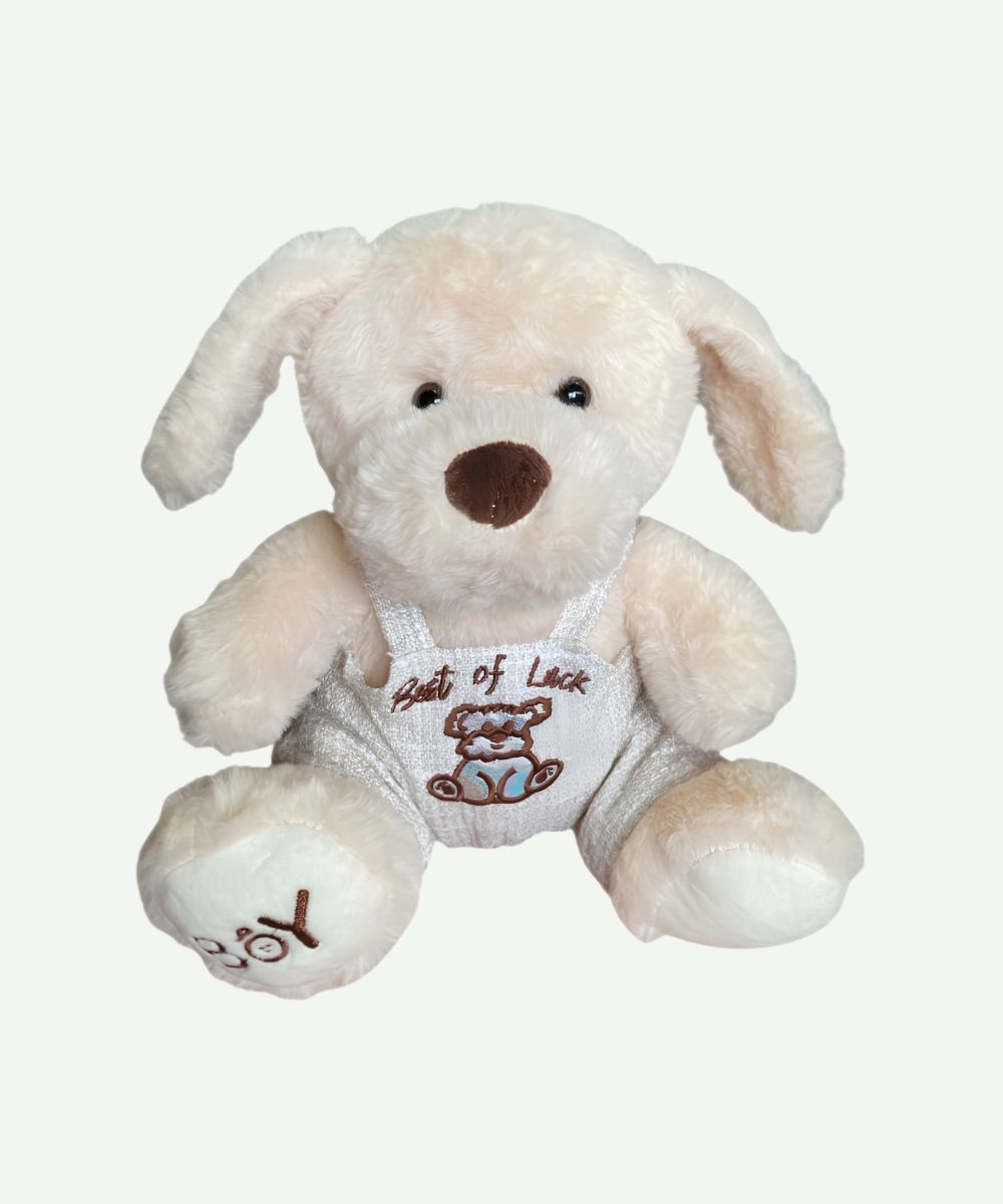 Peluche Perro Con Overol