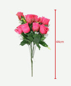 Rosa x12