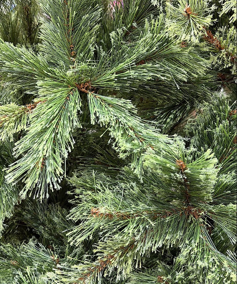 Árbol Canadiense de Navidad Verde Frondoso
