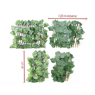 Cerca De Ramas Con Hojas Selvaticas